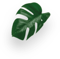 Starbucks&reg; Hazelnut Macchiato decoration Image